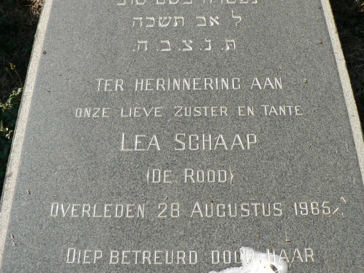 SCHAAP Lea nee DE ROOD -1965