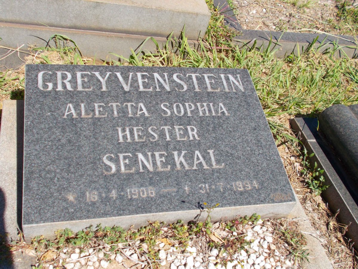 SENEKAL David Cornelius Johannes 1903-1975 &amp; Aletta Sophia Hester GREYVENSTEIN 1906-1994