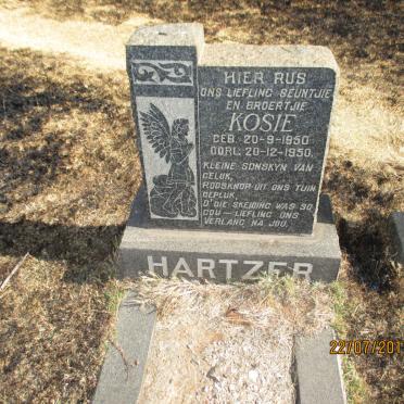 HARTZER Kosie 1950-1950