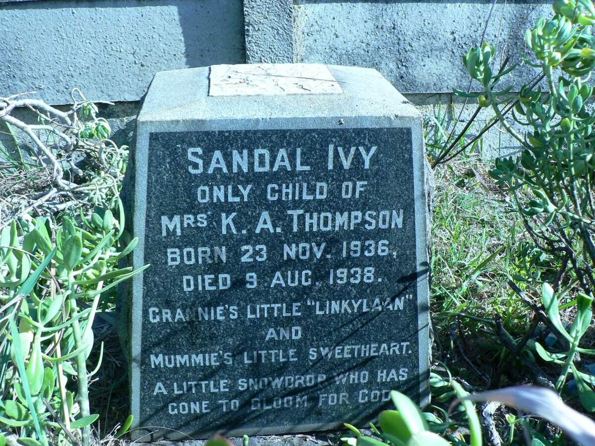 THOMPSON Sandal Ivy 1936-1938