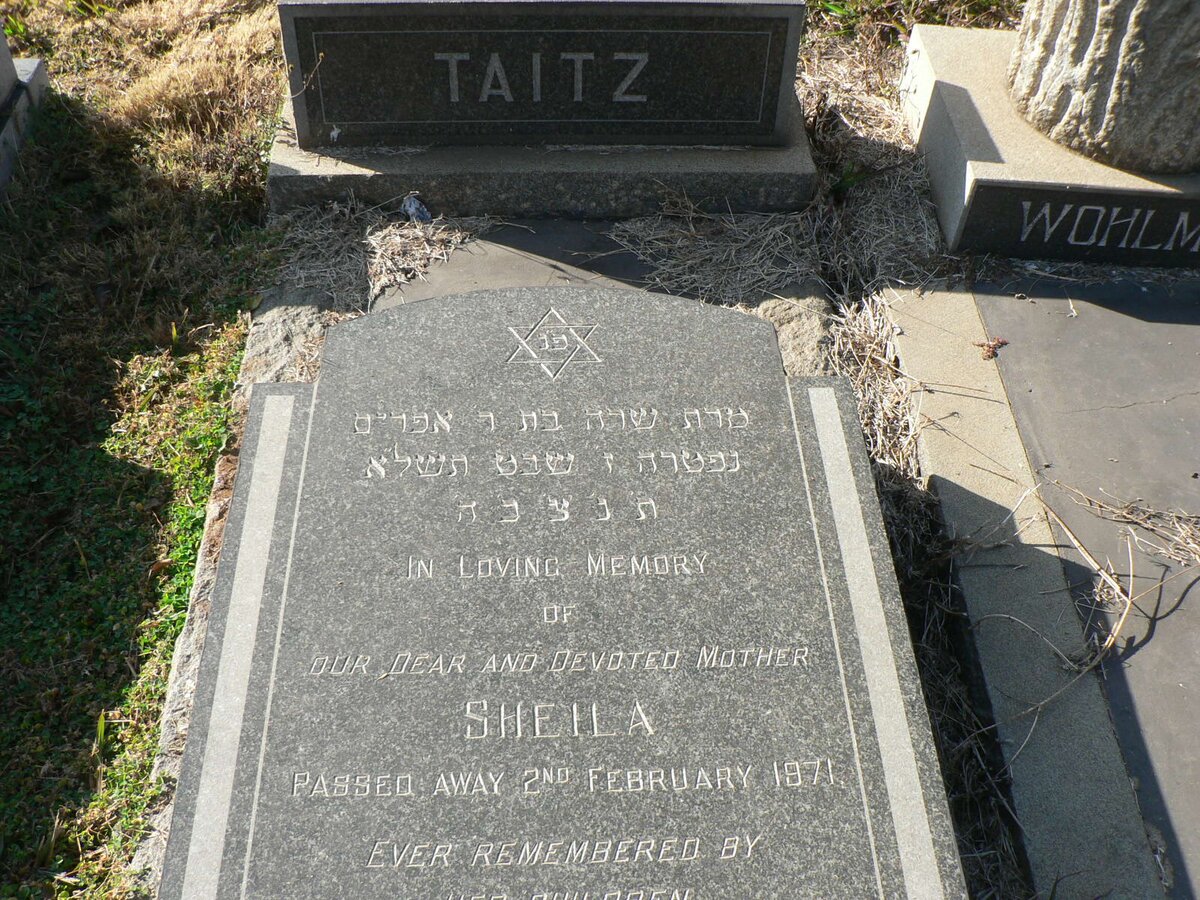 TAITZ Sheila -1971