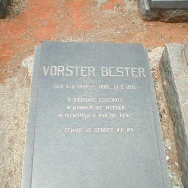 Vo - Surnames starting with the letters Vo