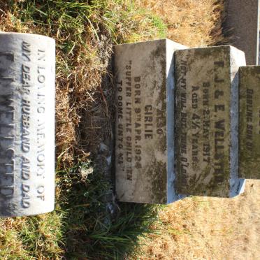 WELLSTED F.J. -1948 :: WELLSTED Roy 1917- :: WELLSTED Girlie 1924-