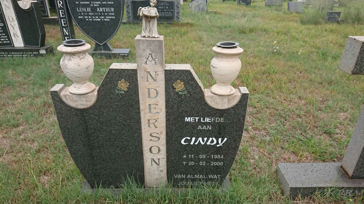 ANDERSON Cindy 1984-2000