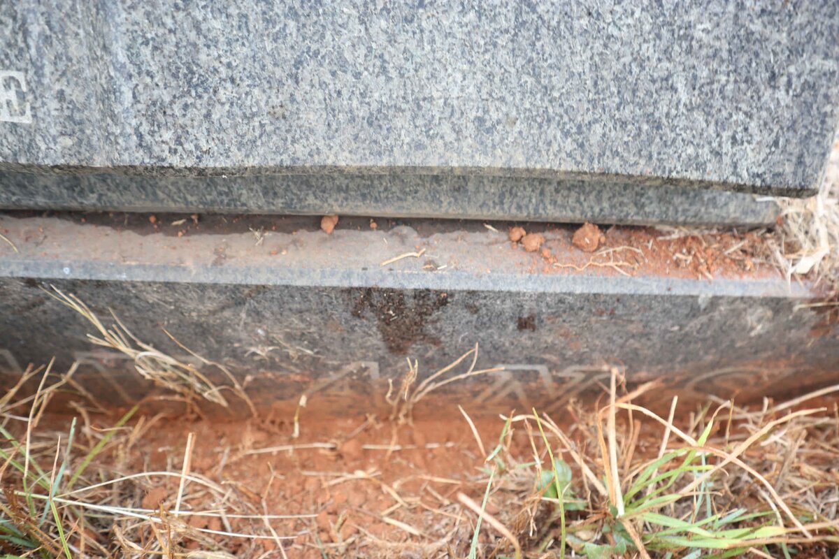 EVANS Carol 1949-2001_2