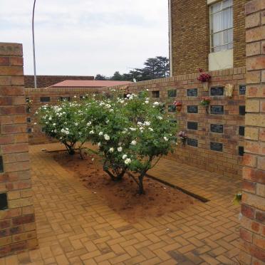 3. Overview / Oorsig