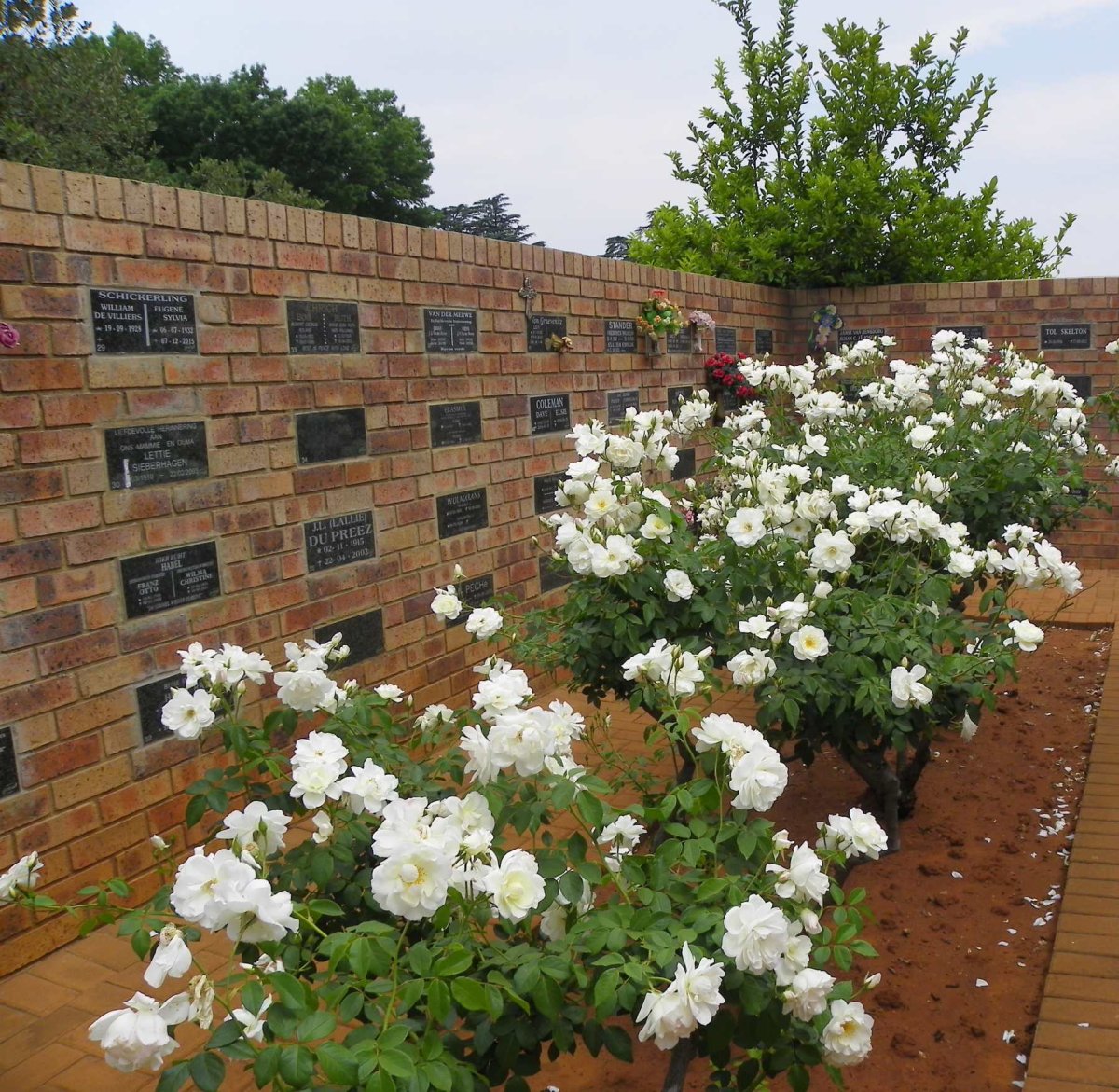 1. Overview / Oorsig