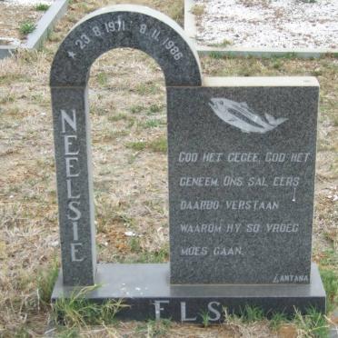 ELS Neelsie 1971-1986