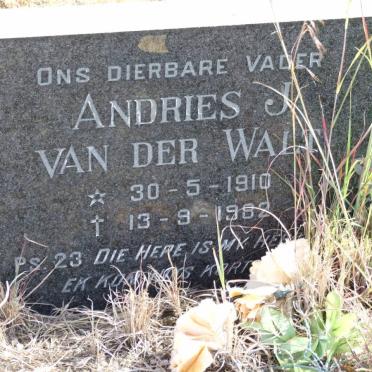WALT Andries J., van der 1910-1982