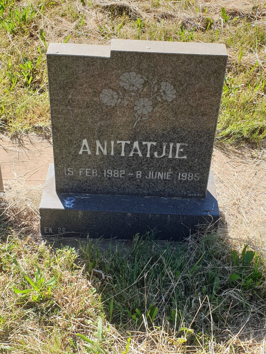 ? Anitatjie 1982-1985