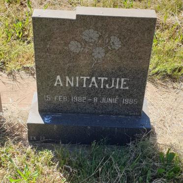 ? Anitatjie 1982-1985