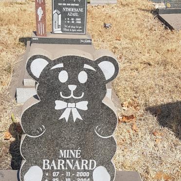 BARNARD Mine 2000-2004