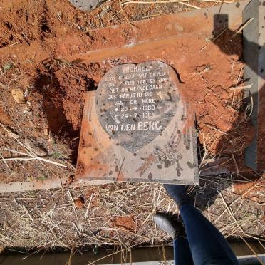 BERG Michael, van den 1960-1985