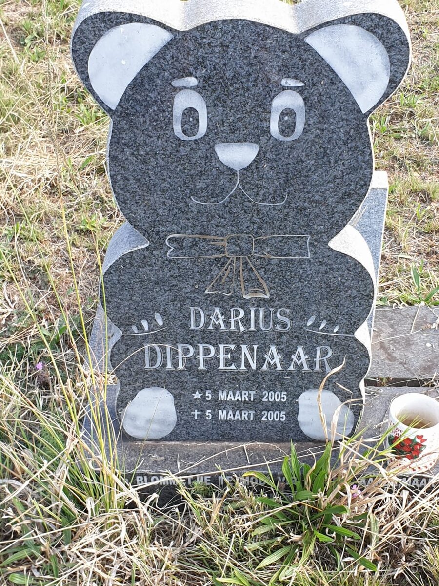 DIPPENAAR Darius 2005-2005