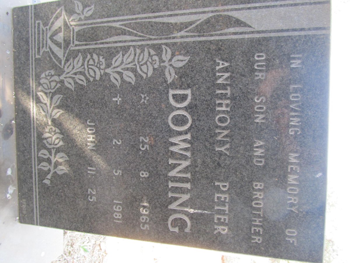 DOWNING Anthony Peter 1965-1981