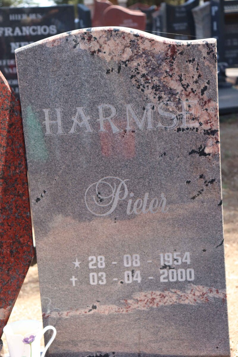 HARMSE Pieter 1954-2000
