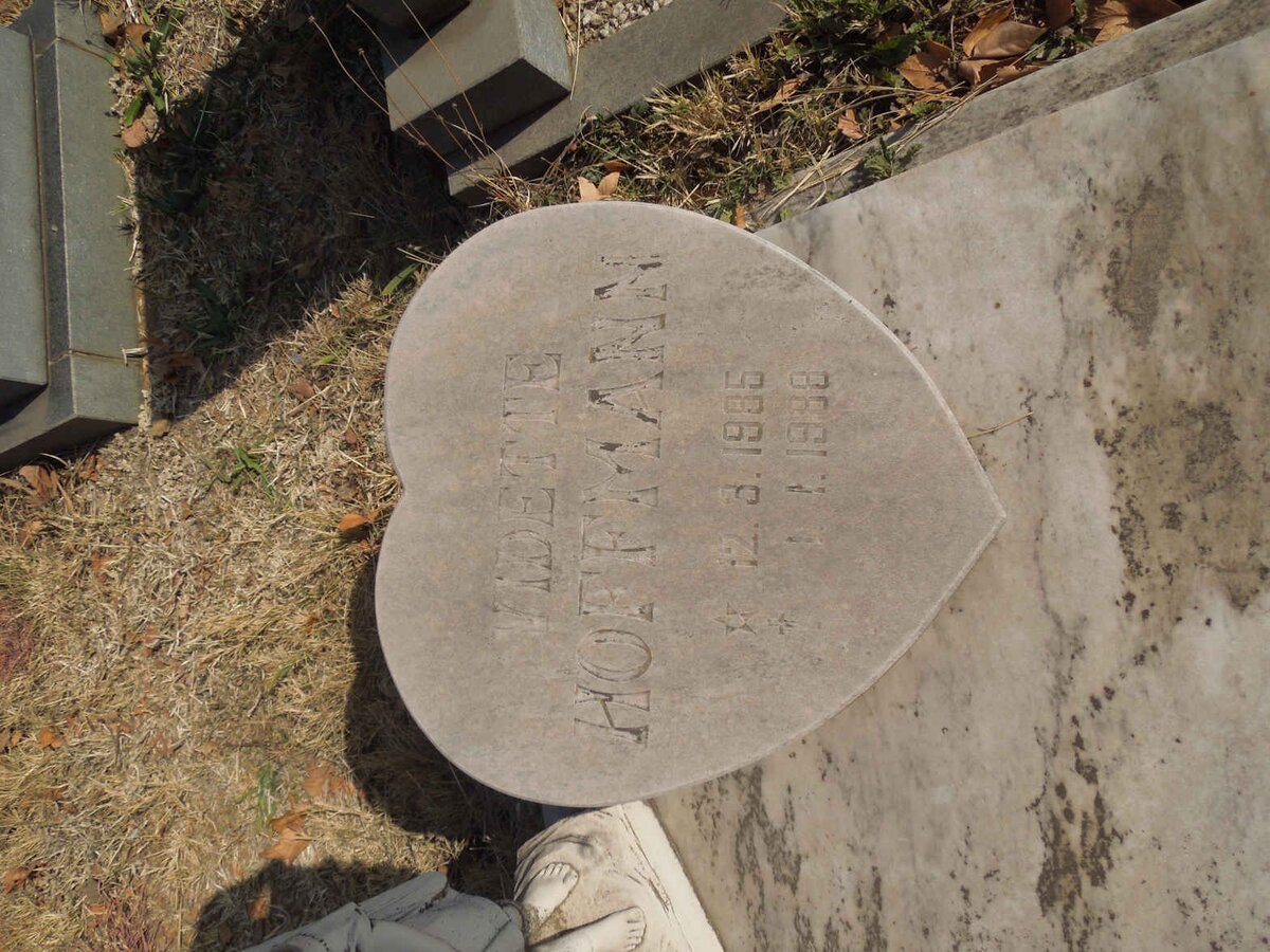 HOFFMANN Vidette 1985-1988