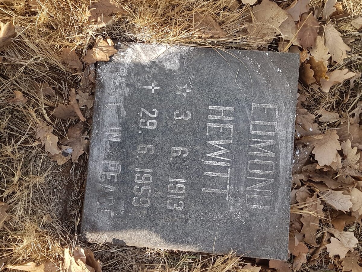 HEWITT Edmond 1913-1959