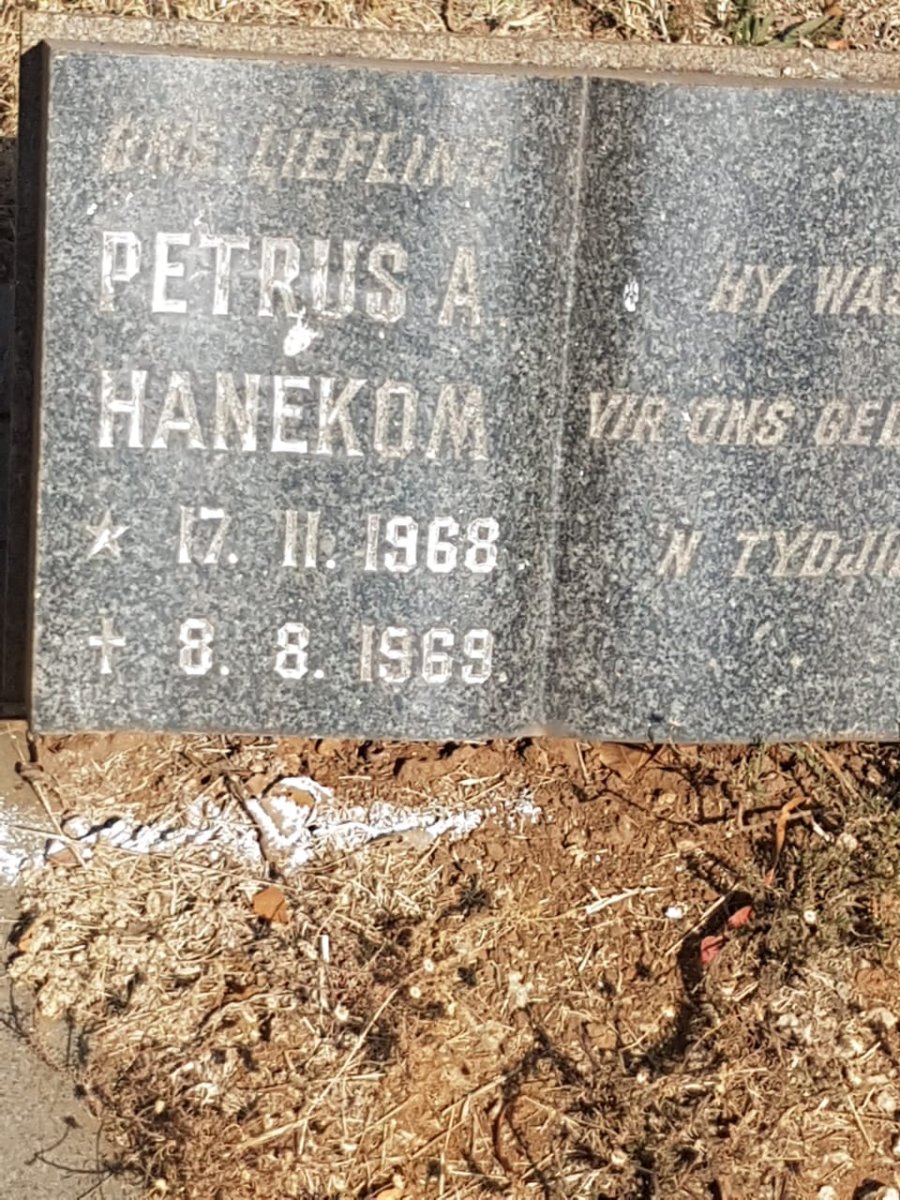 HANEKOM Petrus A. 1968-1969