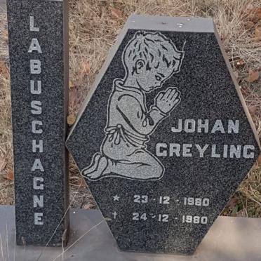 LABUSCHAGNE Johan Greyling 1980-1980