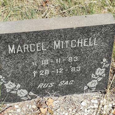 MITCHELL Marcel 1983-1983