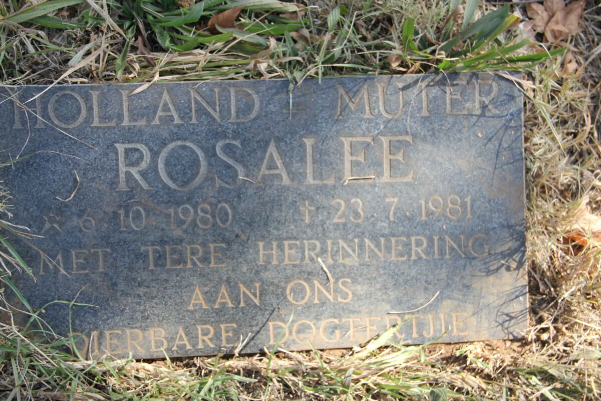 MUTER Rosalee, Holland 1980-1981