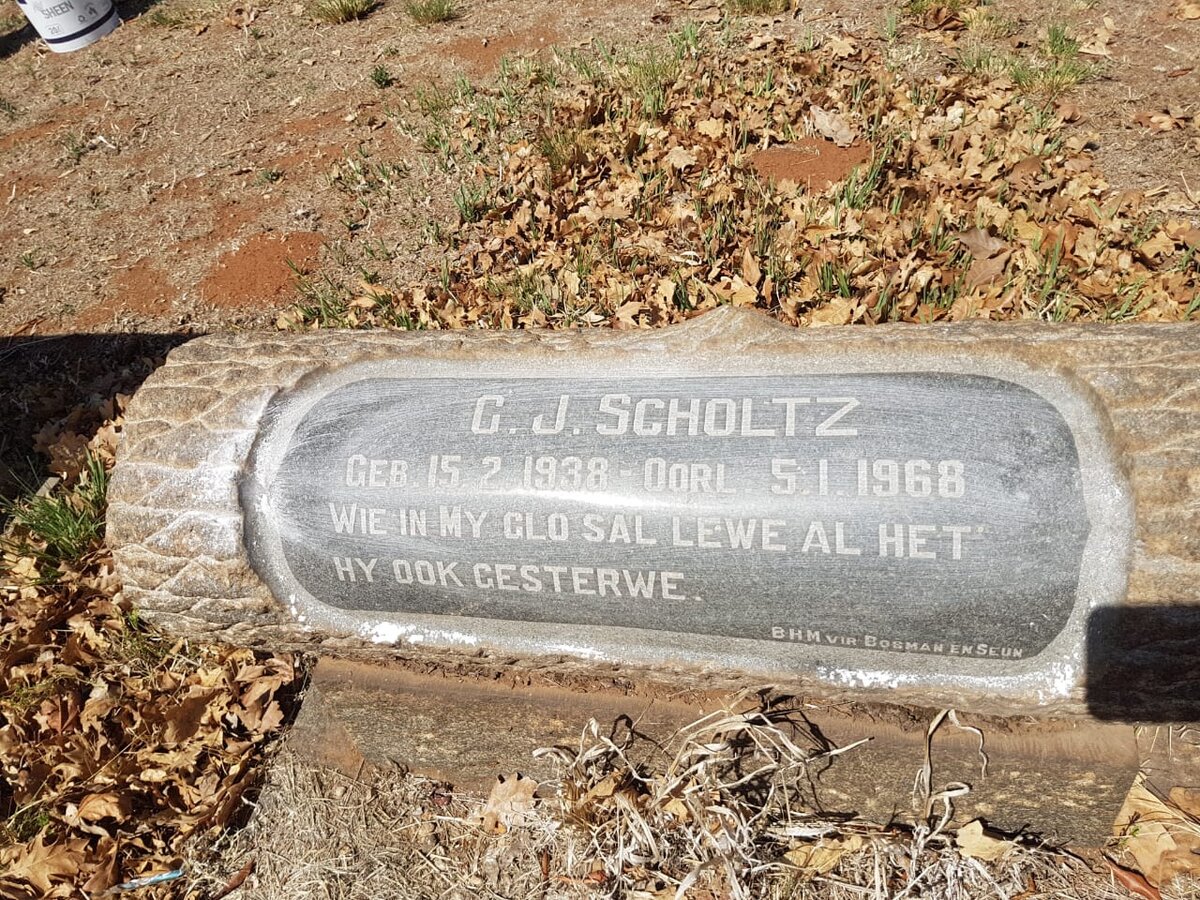 SCHOLTZ C.J. 1938-1968