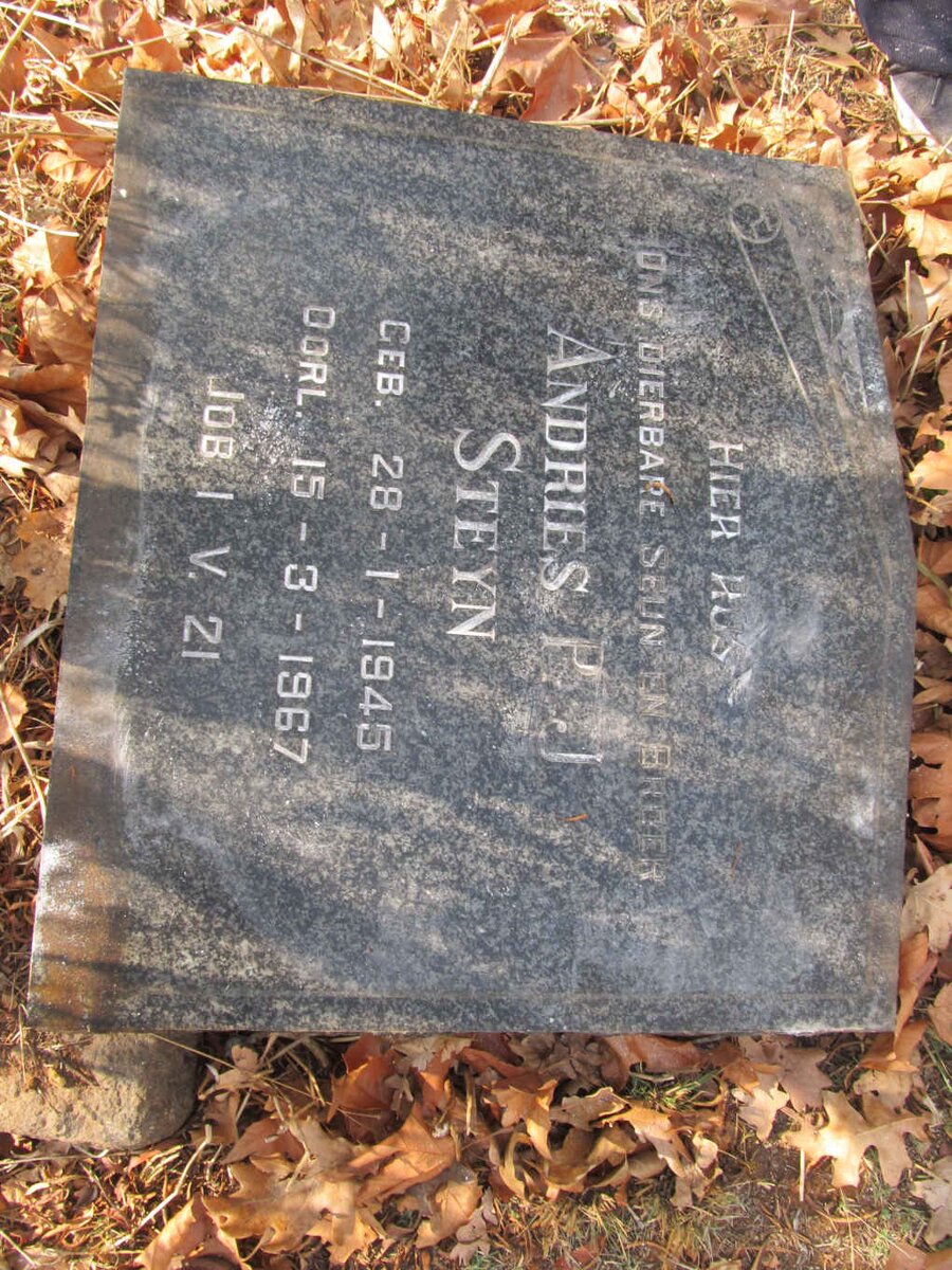STEYN Andries P.J. 1945-1967