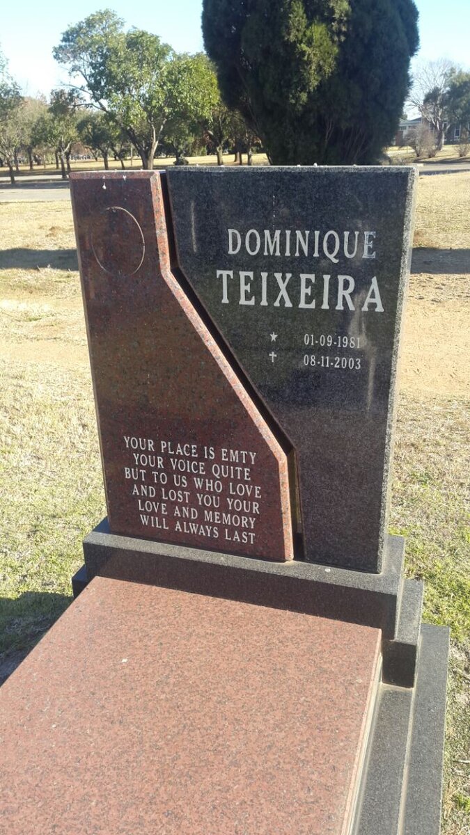 TEIXEIRA Dominique 1981-2003