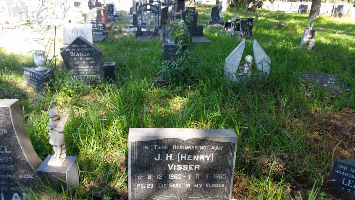 VISSER J.H. 1982-1985