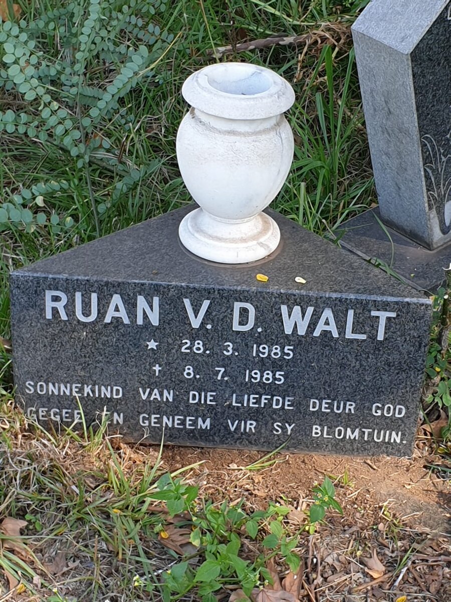 WALT Ruan, v.d. 1985-1985