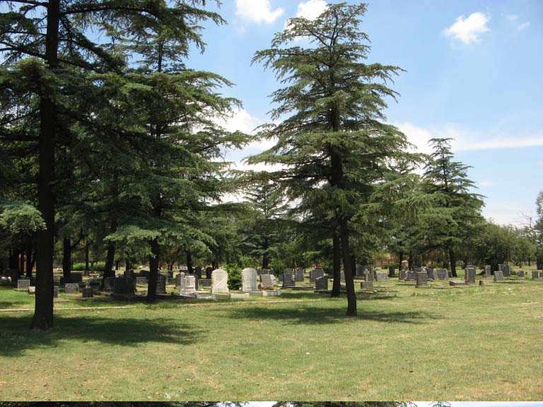 3. Overview of part of the cemetery