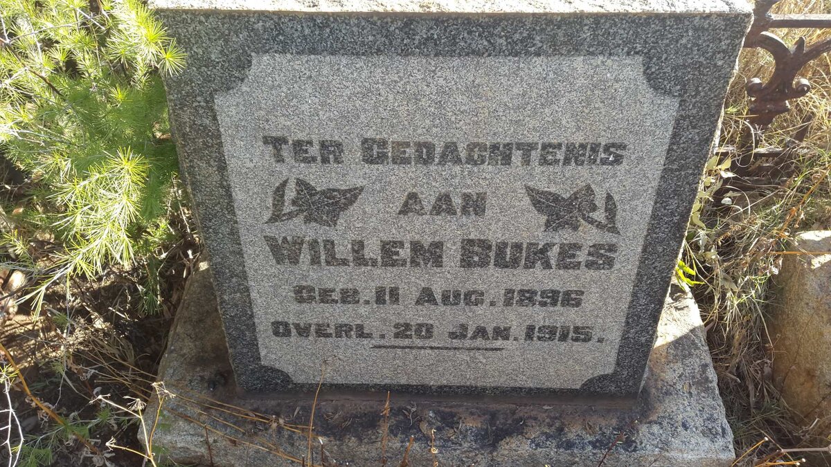 BUKES Willem 1896-1915