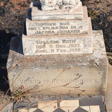 BOTHA Jacoba Johanna Susanna 1937-1938