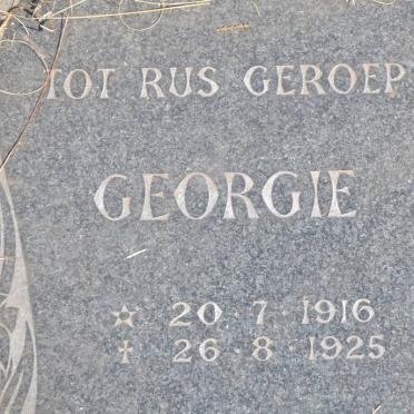 UYS Georgie 1916-1925