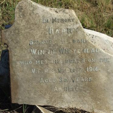 WHITEHEAD Harry -1916