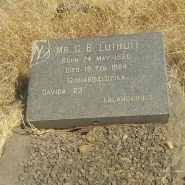 Gauteng, VEREENIGING district, Henley on Klip, Slangfontein 372, farm cemetery_2