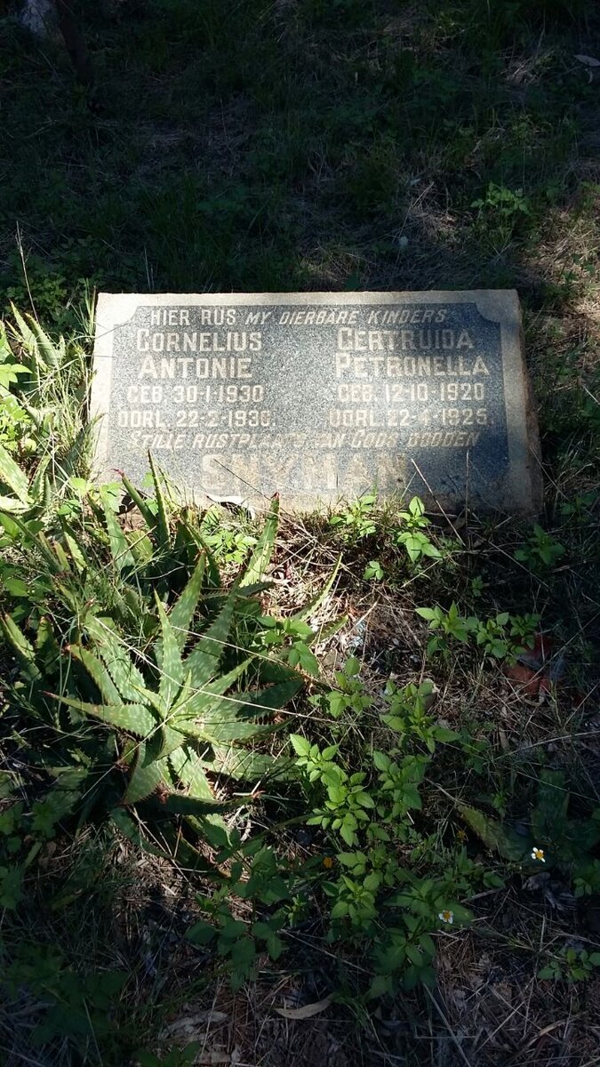 SNYMAN Cornelius Antonie 1930-1930 :: SNYMAN Gertruida Petronella 1920-1925