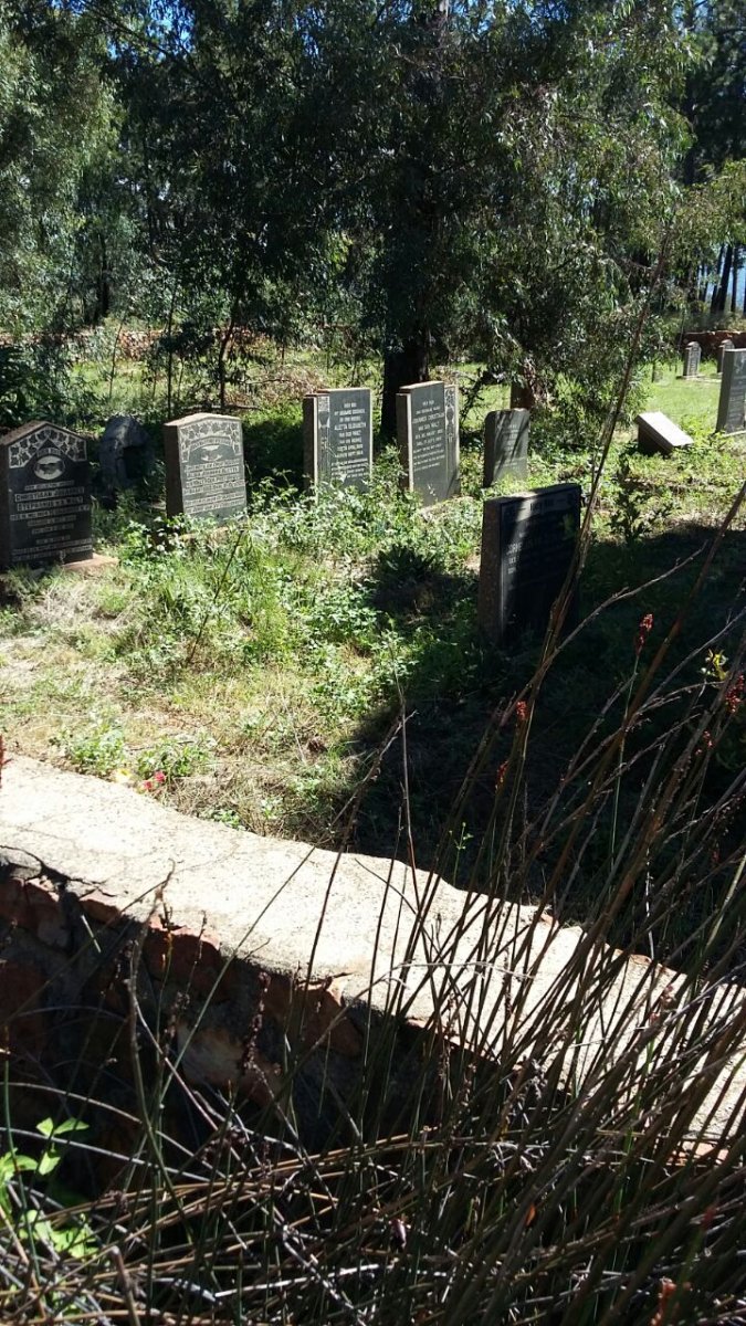 2. Overview / Oorsig