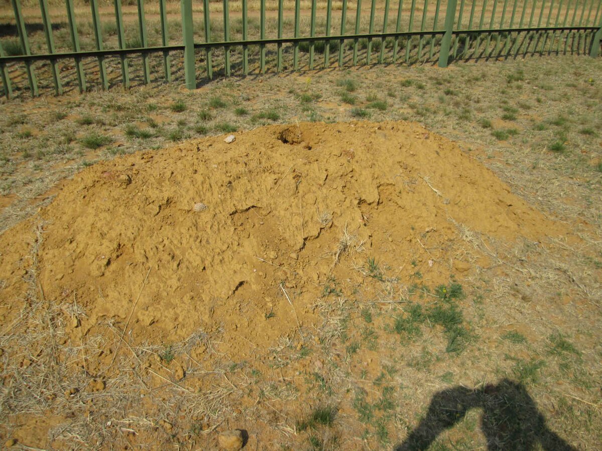 VENTER Jan Adriaan 1959-2015