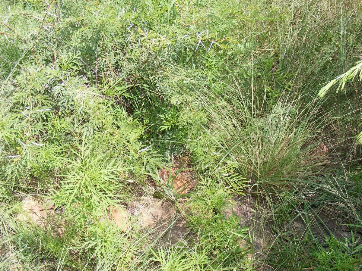 3. Overview on Unmarked Graves