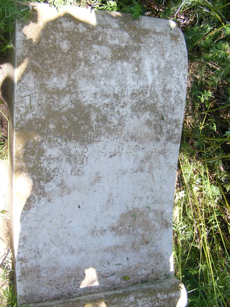 BENECKE Johan Diederick, von 1919-1919