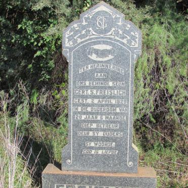 FREISLICH Gert S. -1929