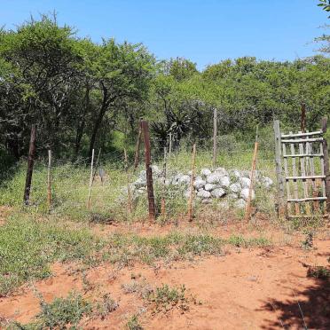 2. Overview / Oorsig