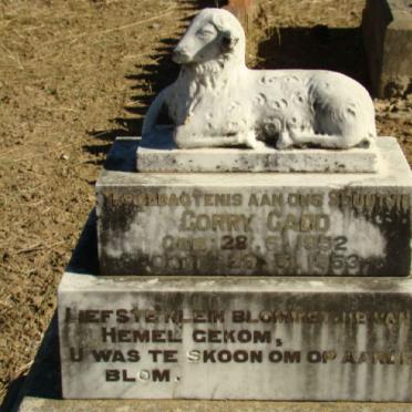 CODD Corry 1952-1953