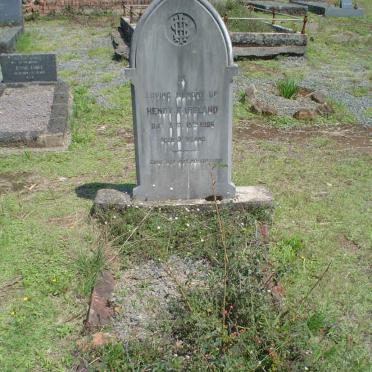 IRELAND Henry F.  -1896