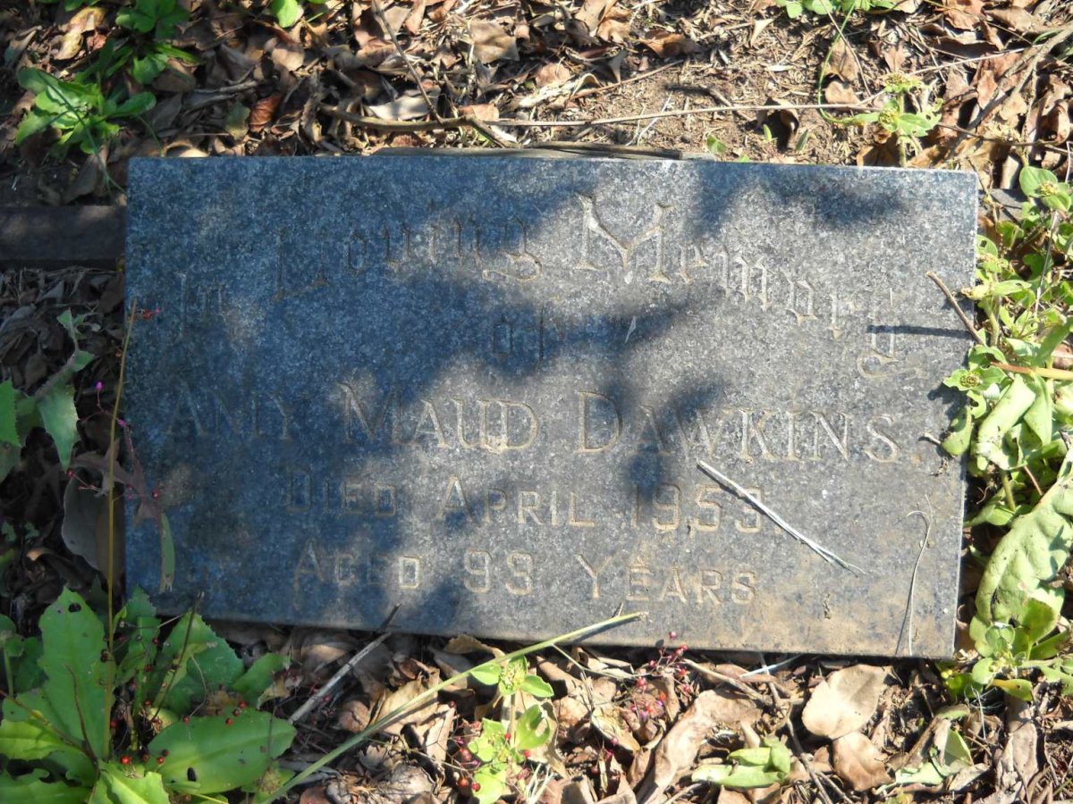 DAWKINS Amy Maude -1953