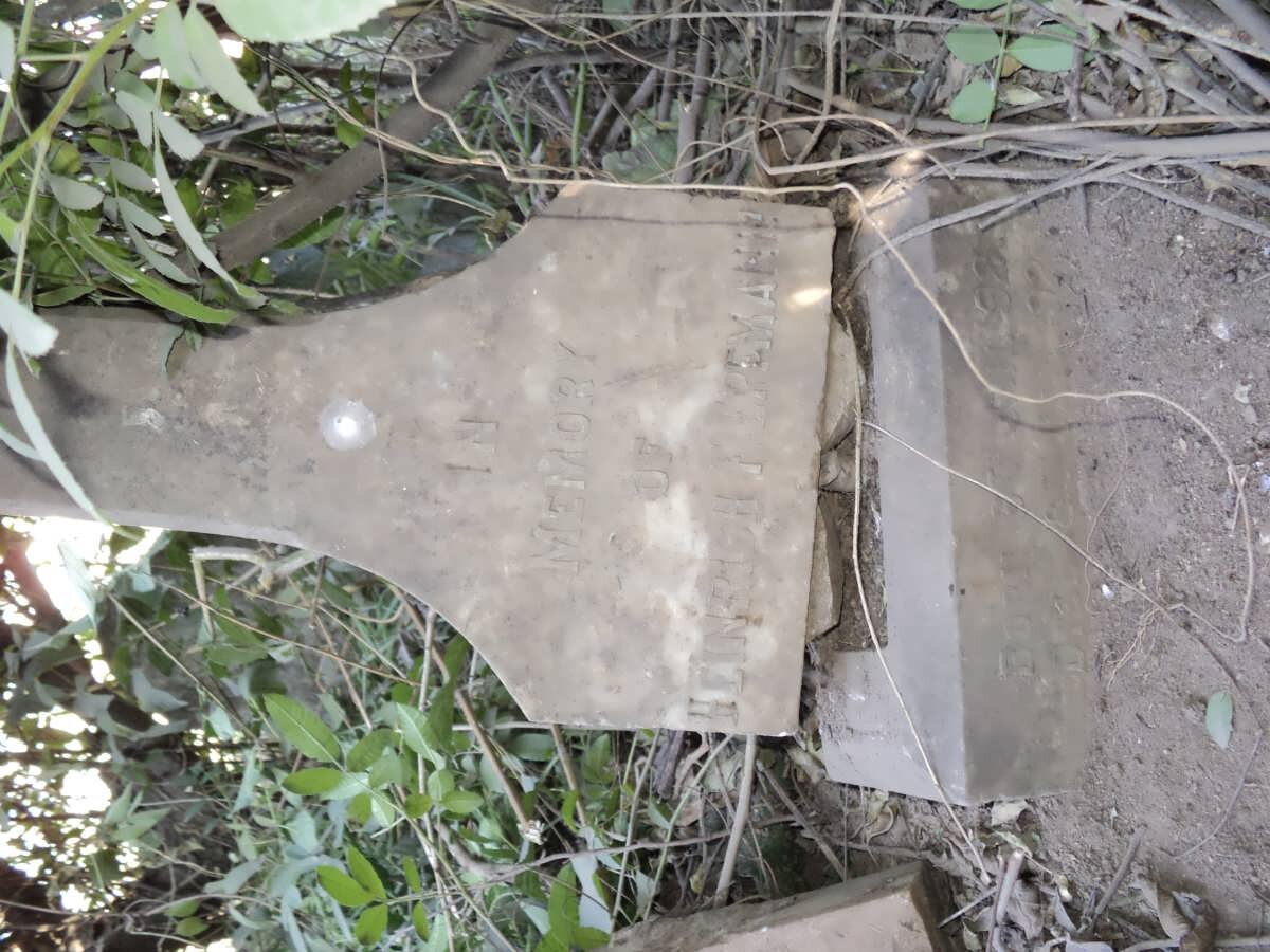 ERFMANN Heinrich F. 192?-19??