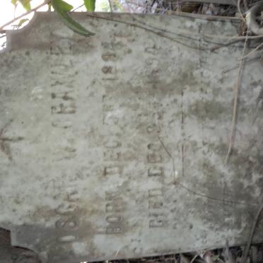 CRAWLEY Oscar W. 1894-1894