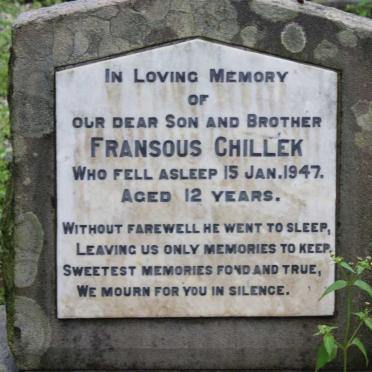 Kwazulu-Natal, CAMPERDOWN, Urban area